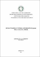 Dissertação_GabrielaBezerra_PPGQ.pdf.jpg