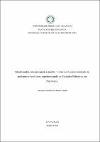 Dissertação_AmandaZanetti_PPGPSI.pdf.jpg