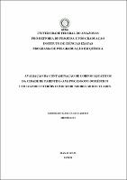 Dissertação - Leonildo Garcia de Castro.pdf.jpg