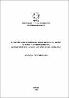 Dissertacao_AdrianaMendonca_PPGDIR.pdf.jpg