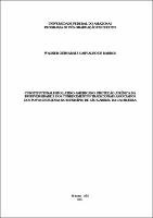 Dissertação_WagnerBarros_PPGDIR.pdf.jpg