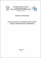 Dissertação_ThalissonDinelli_PPGEP.pdf.jpg