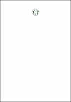 Dissertação_CamilaRuzo_PPGQ..pdf.jpg