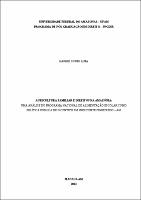 Dissertação_KarineLima_PPGDIR.pdf.jpg