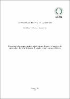 Dissertação_Hamilton de Almeida Nascimento_PPGM.pdf.jpg