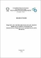 Dissertação_Mauricio Itikawa_PPGEP.pdf.jpg