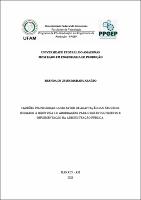 DISS_BrendaAraujo_PPGEP.pdf.jpg