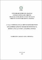 Dissertacao Washington   Carlos da Silva Mendonca.pdf.jpg