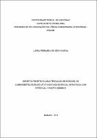 DISS_LauraGarcia_PPGECEM.pdf.jpg