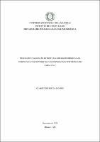 Dissertacao_ClariceSantos_PPGI.pdf.jpg