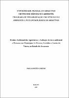 Dissertacao-Paola Souto Campos.pdf.jpg