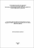 Dissertacao-Giovana Regina Zaniolo.pdf.jpg