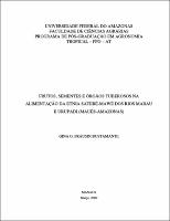 Dissertacao Gina Frausin.pdf.jpg