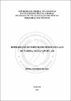 Dissertacao Final Hevea Maciel.pdf.jpg