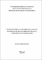 Dissertacao - Elson Almeida de Souza.pdf.jpg