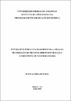 Dissertacao - Elson Almeida de Souza.pdf.jpg