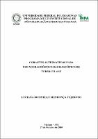 Tese Final Luciana Botinelly.pdf.jpg