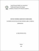 Dissertacao Alcinei Pereira Lopes.pdf.jpg