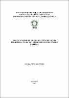 Dissertacao - Erclila Monteiro.pdf.jpg