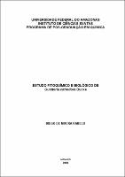 Dissertacao-Diego de Moura Rabelo.pdf.jpg