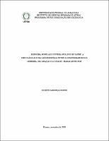 Dissertacao Final Suzete.pdf.jpg