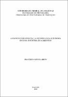 Dissertacao - Francisco Oliveira Brito.pdf.jpg