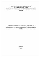 Dissertacao-Silvia Andrea Brandao de Lima.pdf.jpg