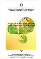 Tese_GiselaneCampos_PPGGEOG.pdf.jpg