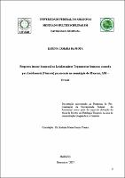 DISSERTACAO kARINA.pdf.jpg