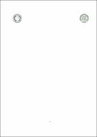 DISS_MariaRaimundaOliveira_PPGSS.pdf.jpg