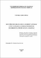 DISSERTACAO-CYNTHIA PINTO.PDF.jpg