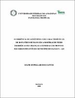 Dissertacao Final Giane Zupellari.pdf.jpg