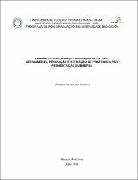 Dissertação - Larissa de Souza Kirsch.pdf.jpg