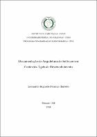 DISS_LeonardoBarreto_PPGI.pdf.jpg