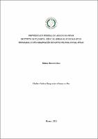 TESE_HelenaSchiel_PPGAS.pdf.jpg