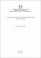 DISS_LiaMartins_PPGI.pdf.jpg