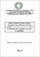 Tese - Maria do Perpetuo Socorro Silva da Rocha.pdf.jpg