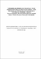 Dissertação - Luz Gustavo Negro Vaz.pdf.jpg