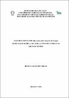 Dissertação- Bianca L Vargas.pdf.jpg