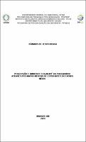 DISS_DâmarisBraga_PPGEOG.pdf.jpg