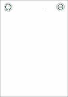 Dissertação_GabrielCastro_PPGCTRA.pdf.jpg
