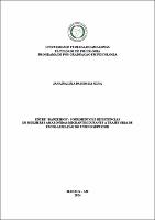 DISS_JanainaSilva_PPGPSI.pdf.jpg