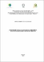 DISS_MarcosGomes_PROFNIT.pdf.jpg