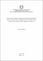 DISS_JesseDeveza_PPGI.pdf.jpg