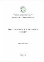 DISS_RamonSouza_PPGI.pdf.jpg
