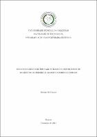 DISS_GeorgioColesres_PPGEE.pdf.jpg
