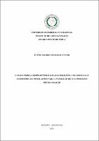 TESE_FlavioMedeirosJurnior_PPGFIS.pdf.jpg