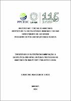 TESE_GuilhermeSouza_PPGEOG.pdf.jpg
