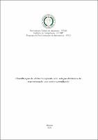 DISS_VictorDuarte_PPGI.pdf.jpg