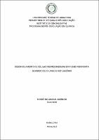 TESE_MoisesAmancio_PPGQ.pdf.jpg